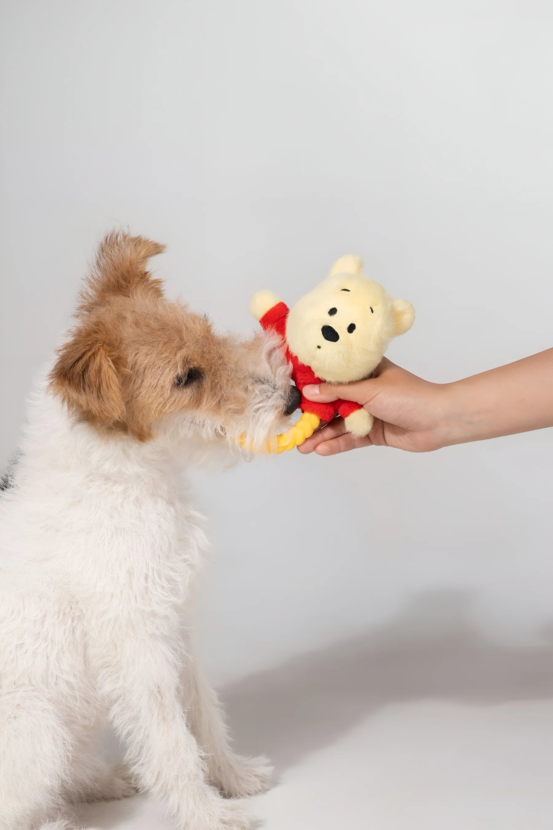 Petsville Winnie the Pooh Dog Cat Tug Toy - kikiandpuppies