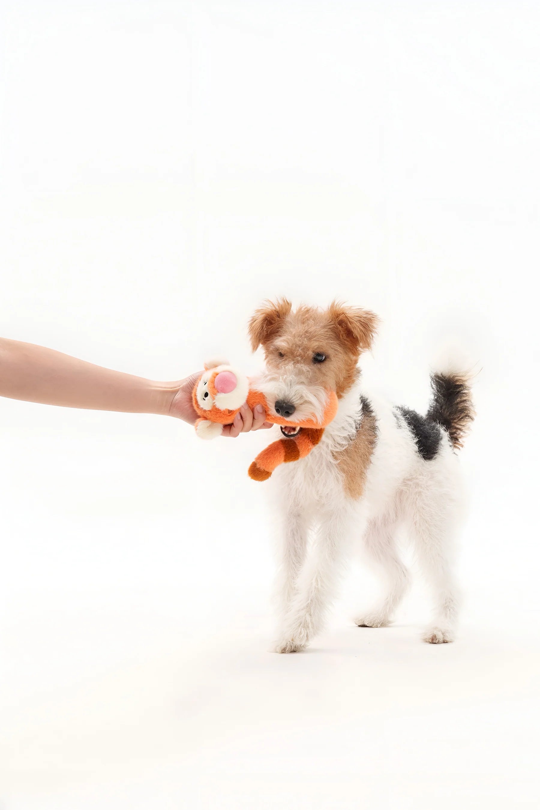 Petsville Winnie the Pooh Dog Cat Tug Toy - kikiandpuppies