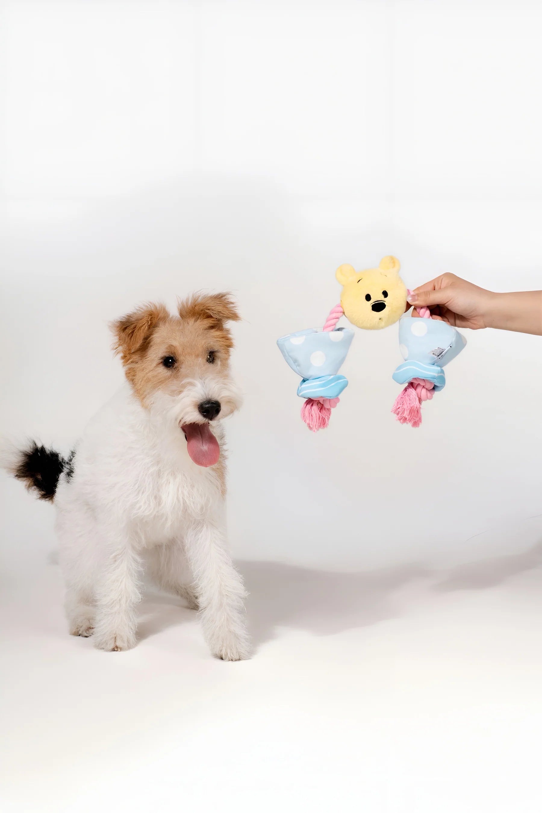 Winnie the Pooh Candy Rope Toy