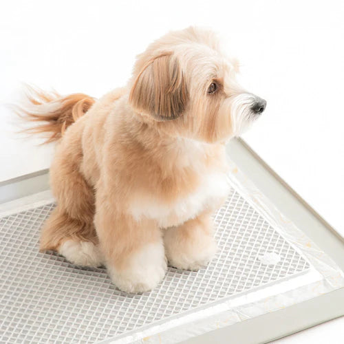 Zero Guard Silicone Mat - kikiandpuppies