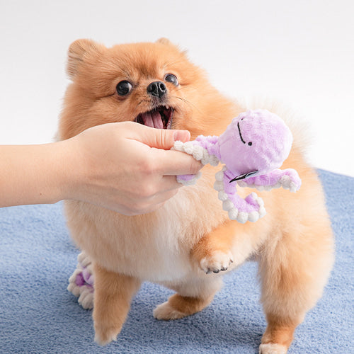 Long Hands Ball Toy - kikiandpuppies