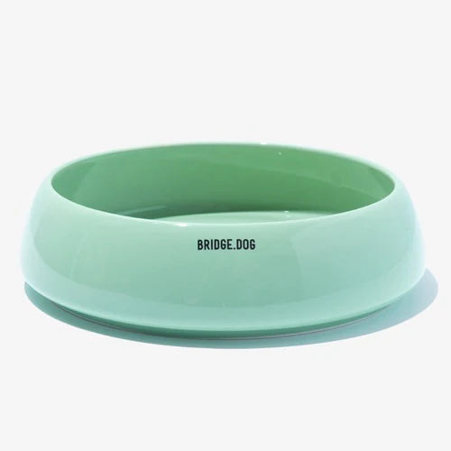 BRIDGE DOG Big Ladder - Mint (Glossy)