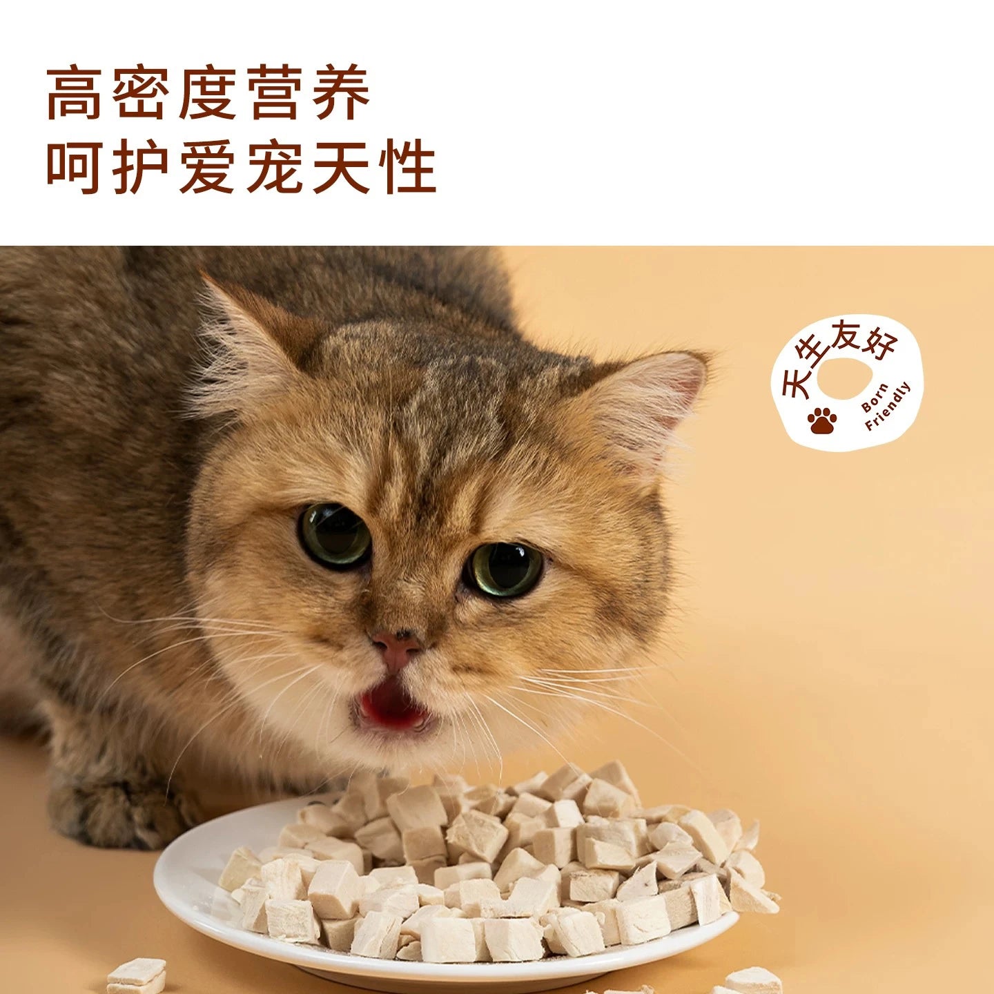 TAI YANG JIA Freeze-Dried Original Cut Chicken Breast Cubes 100g - kikiandpuppies