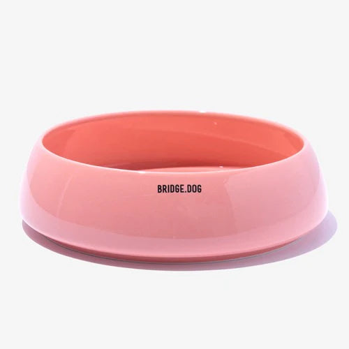 BRIDGE DOG Big Ladder - Coral Pink (Glossy)