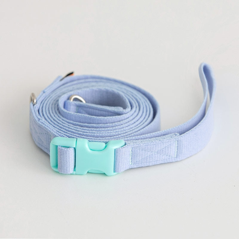 Bite Me Candy Crayon Leash - kikiandpuppies