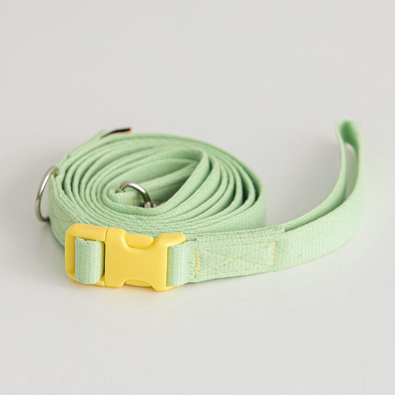 Bite Me Candy Crayon Leash - kikiandpuppies