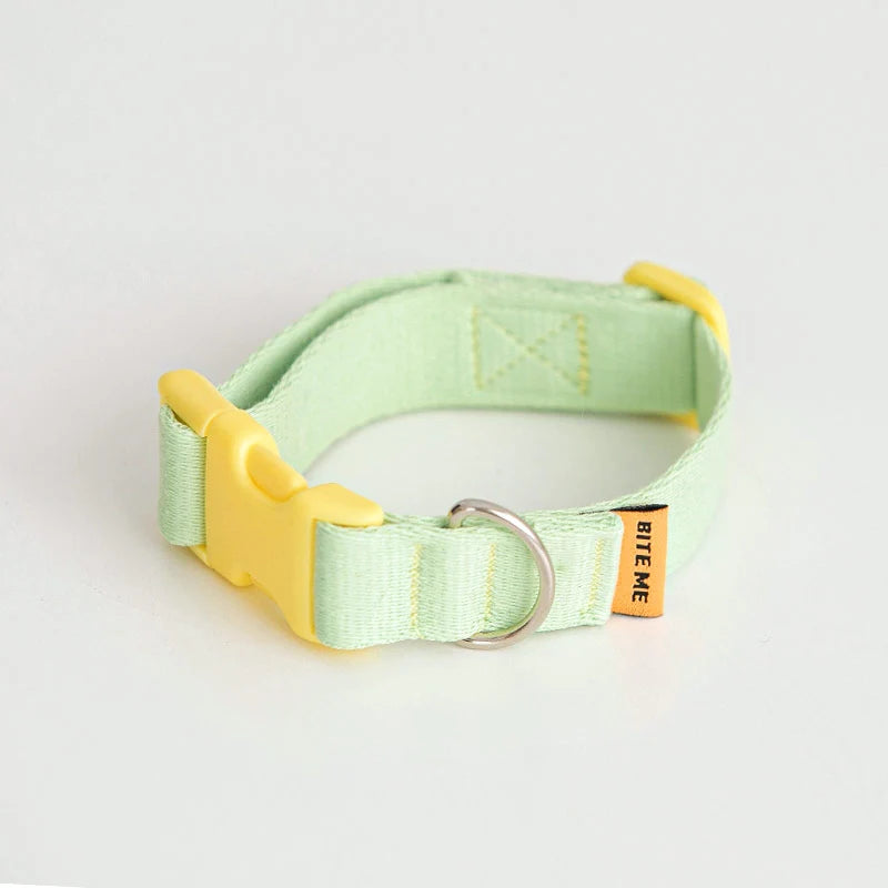 Bite Me Candy Crayon Collar - kikiandpuppies