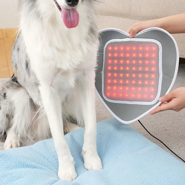 Cirius Pet Near Infrared Joint Pads (Heart-shaped) - kikiandpuppies