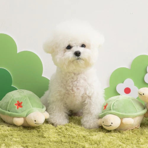 Jumping Boogie Auto-Ball Toy with Snuffle Mat Set - kikiandpuppies