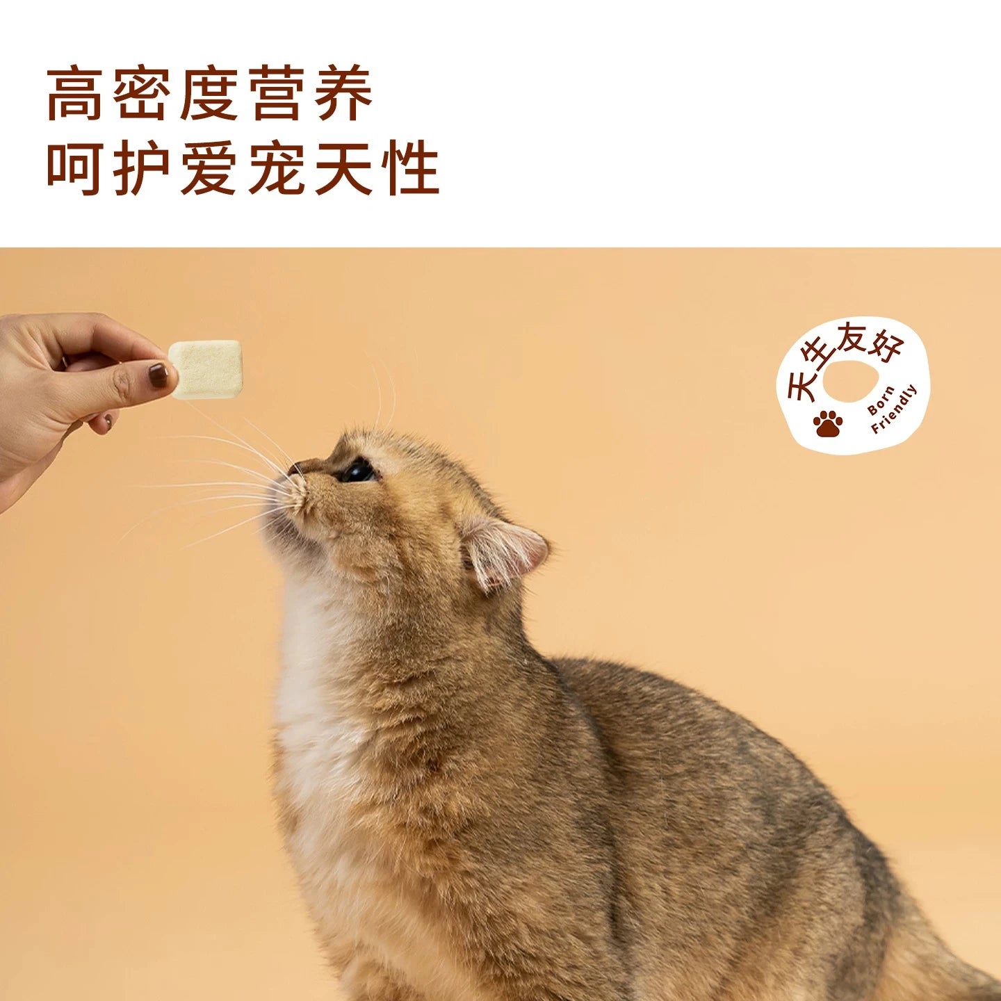 TAI YANG JIA Freeze-dried chicken and goat milk cubes 90g - kikiandpuppies