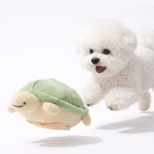 Jumping Boogie Auto-Ball Toy with Snuffle Mat Set - kikiandpuppies