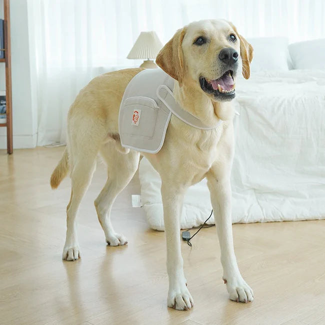 Cirius Pet Near-Infrared Joint Pads - PRO | Large Size | Suitable for Reclining Therapy - kikiandpuppies