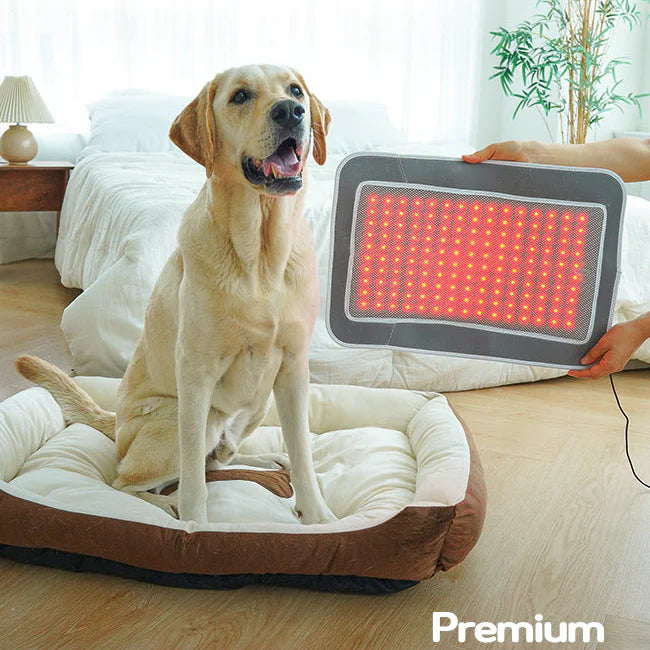 Cirius Pet Near-Infrared Joint Pads - PRO | Large Size | Suitable for Reclining Therapy - kikiandpuppies