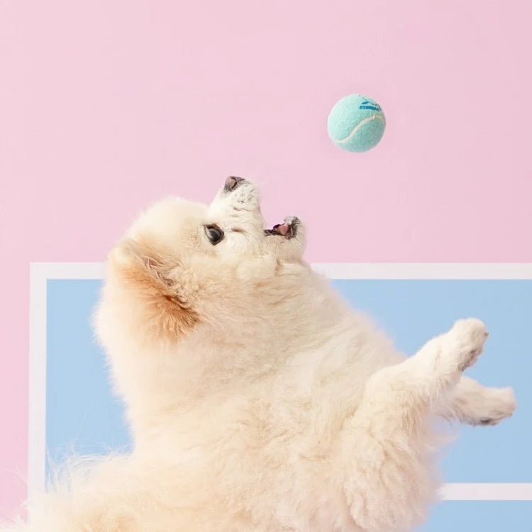 Bite Me Sanrio Characters Tennis Ball Toy Set