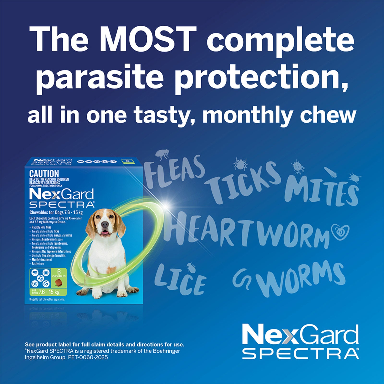 NexGard SPECTRA Chews for Very Small Dogs 1.35-3.5kg - kikiandpuppies