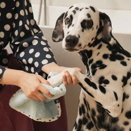 Bite Me X FINCA Dry Me Microfiber Pet Towel Original (2 colors) - kikiandpuppies