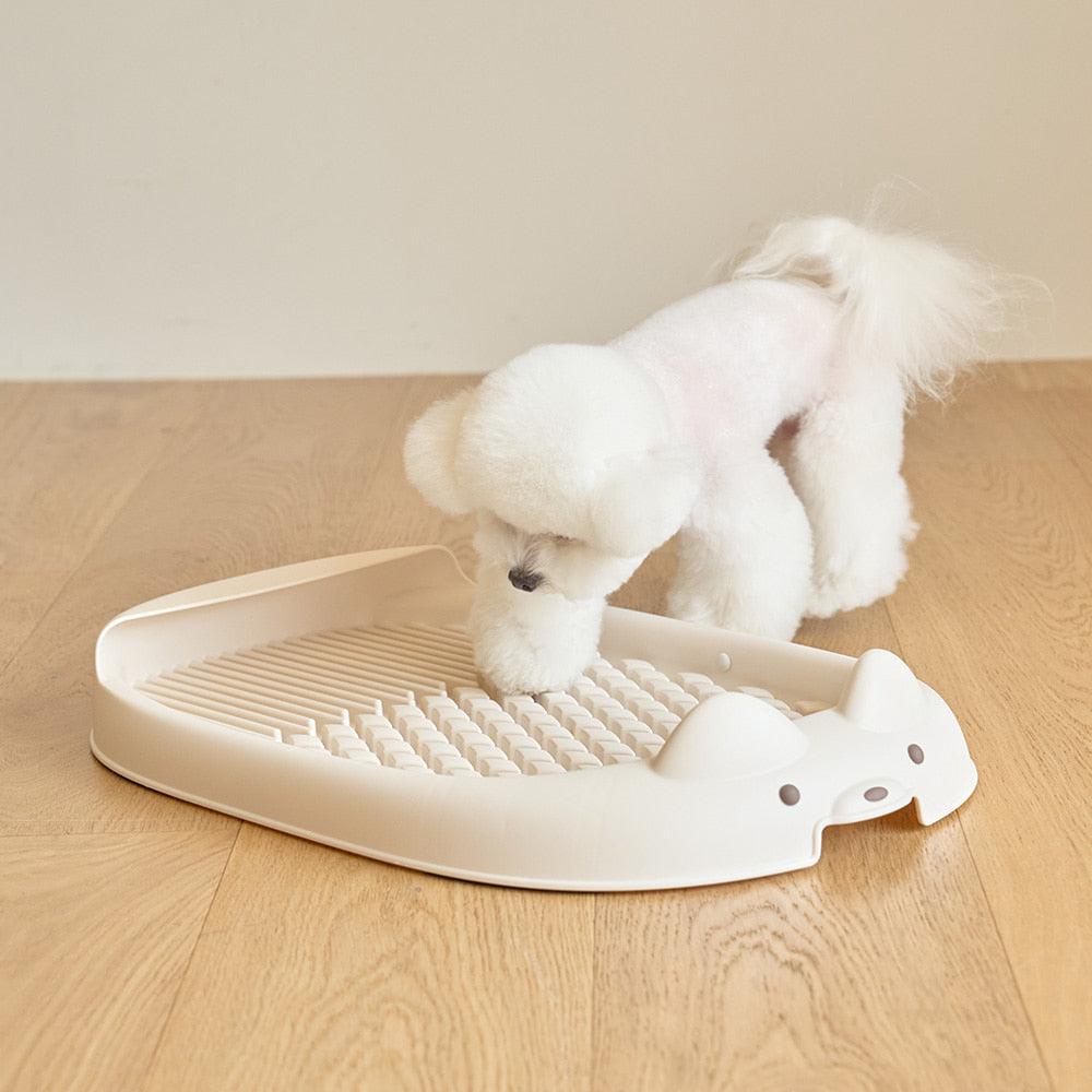 Doggy potty pad