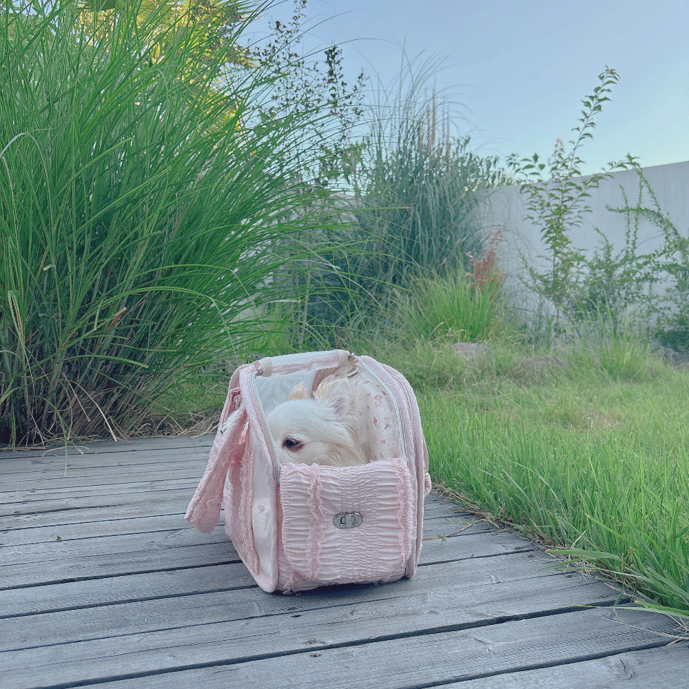 Ajibaek Cube See-through Blush Pink♡ Pet Carrier Bag With Cushion
