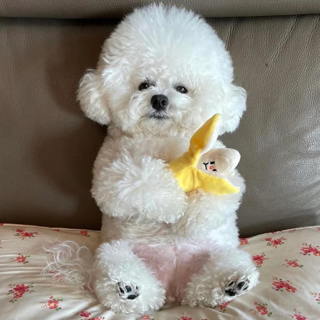 Banana Nosework Toy - kikiandpuppies