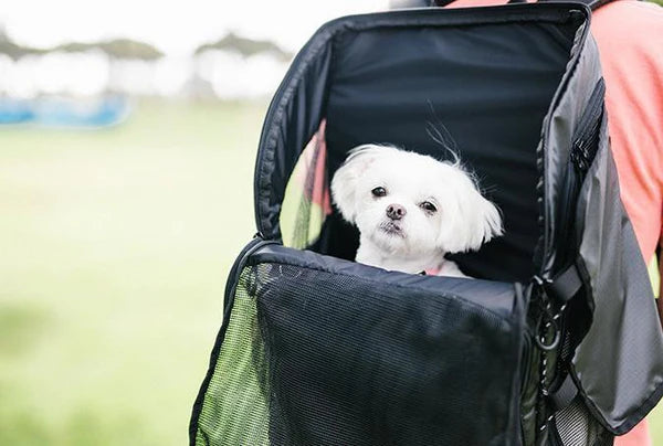 3 WAY BACK PACK CARRIER PET BAG