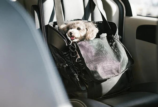 3 WAY BACK PACK CARRIER PET BAG