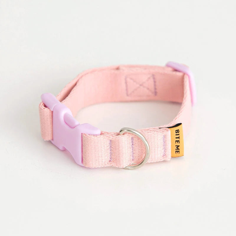 Bite Me Candy Crayon Collar - kikiandpuppies