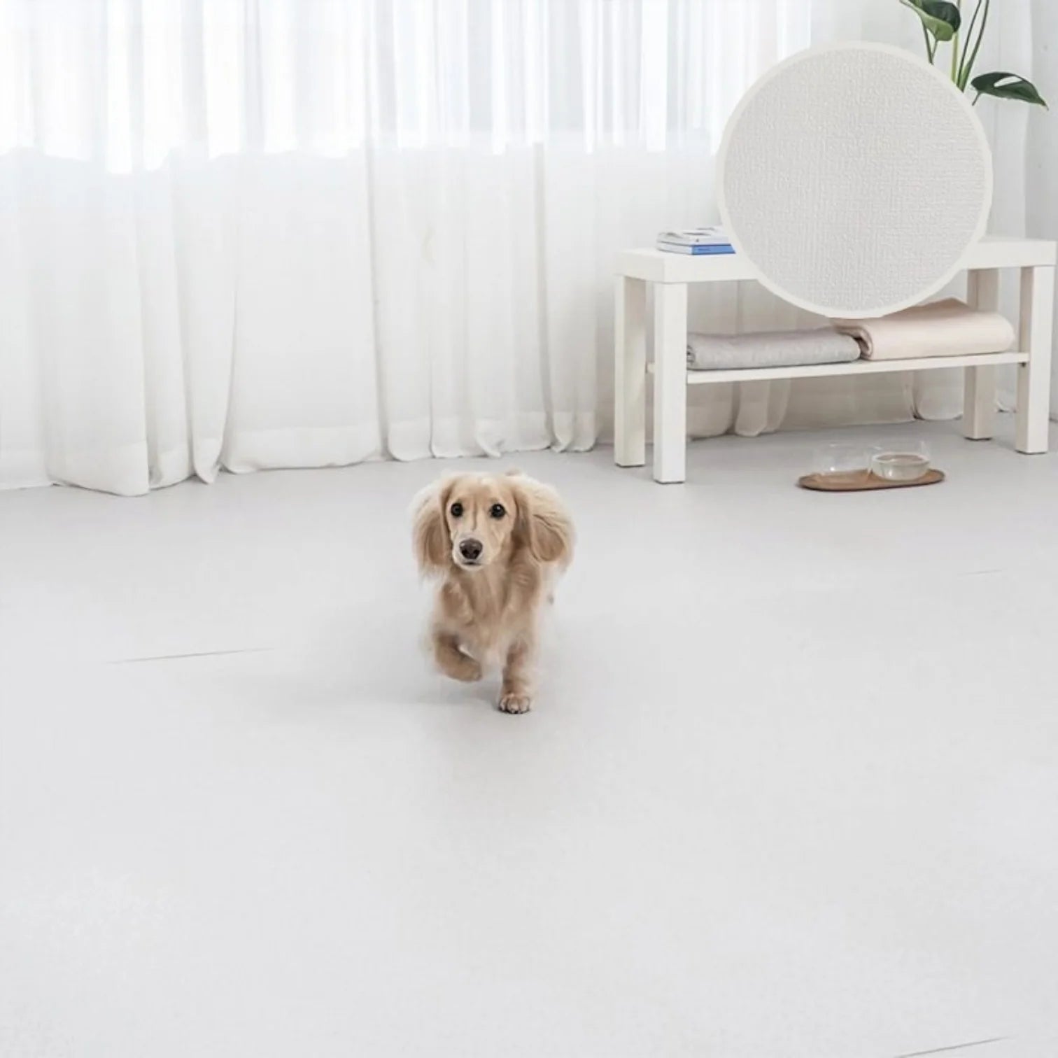 Liku Premium Korean Pet Mat – Waterproof Non-Slip Dog Mat