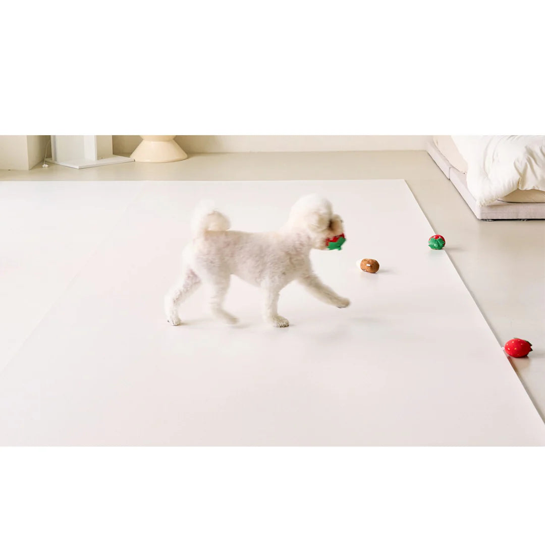 Liku Premium Korean Pet Mat – Waterproof Non-Slip Dog Mat