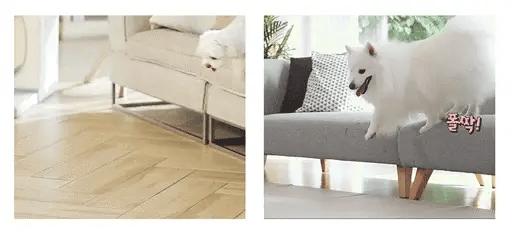 Liku Premium Korean Pet Mat – Waterproof Non-Slip Dog Mat
