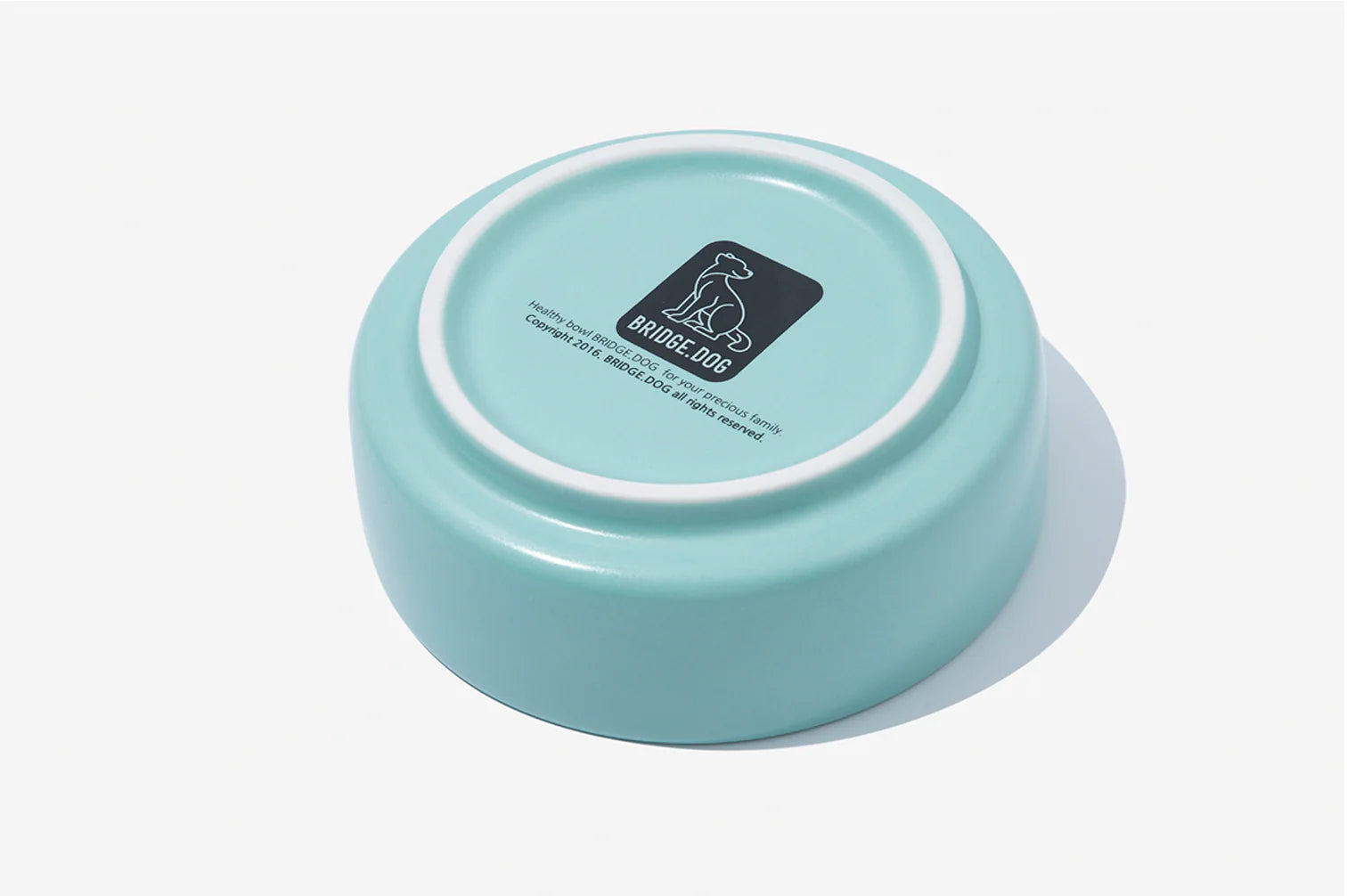 Basic Bowl - Mint (Matte)