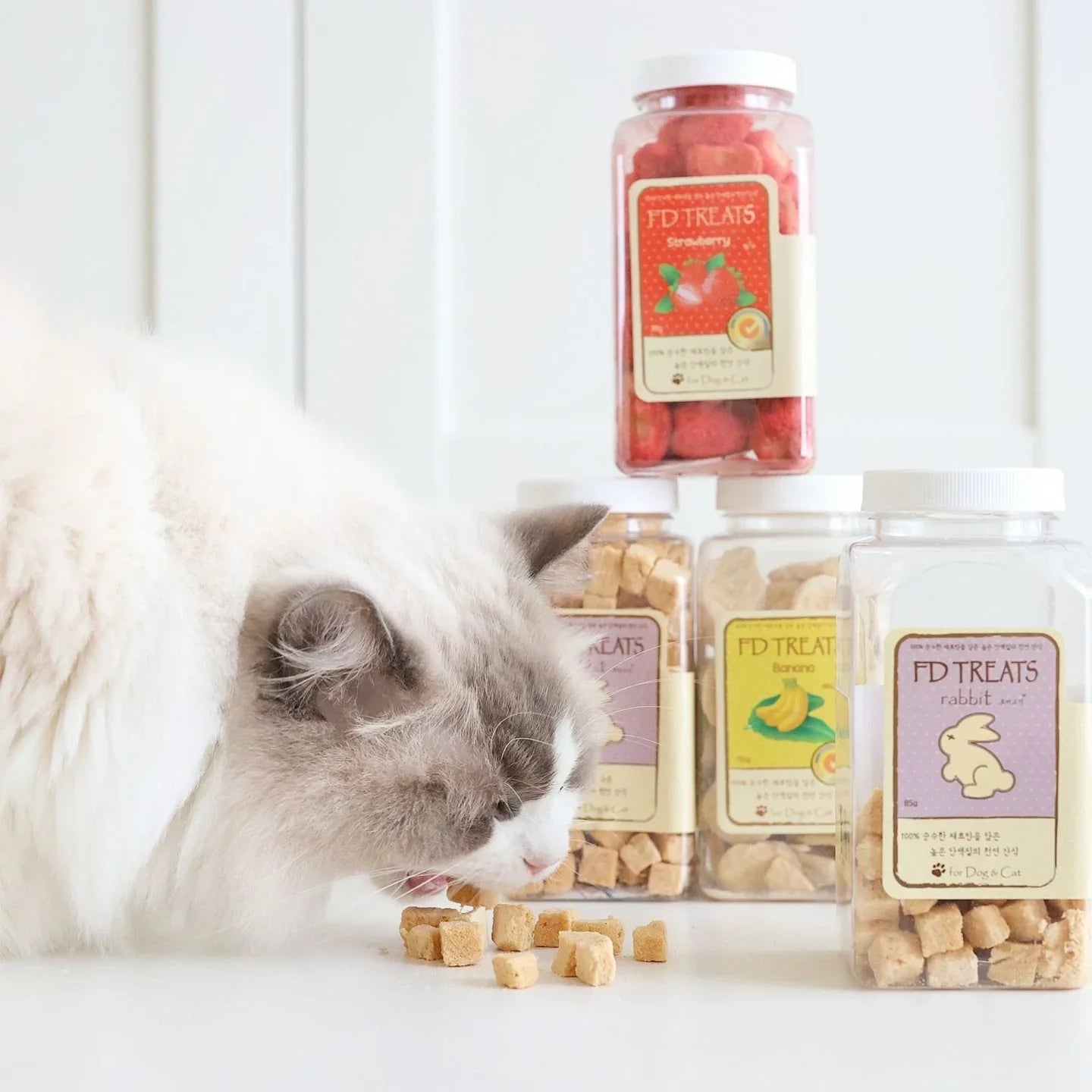 FD TREATS - Mixed Freeze-Dried Treat Bundle (5 Flavours) - kikiandpuppies