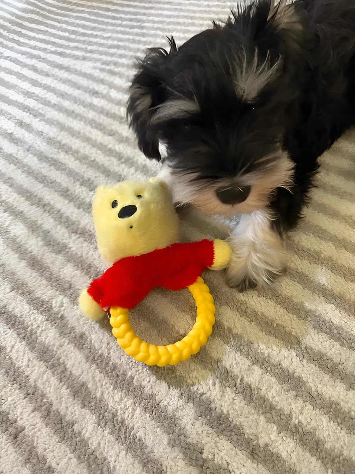 Petsville Winnie the Pooh Dog Cat Tug Toy - kikiandpuppies