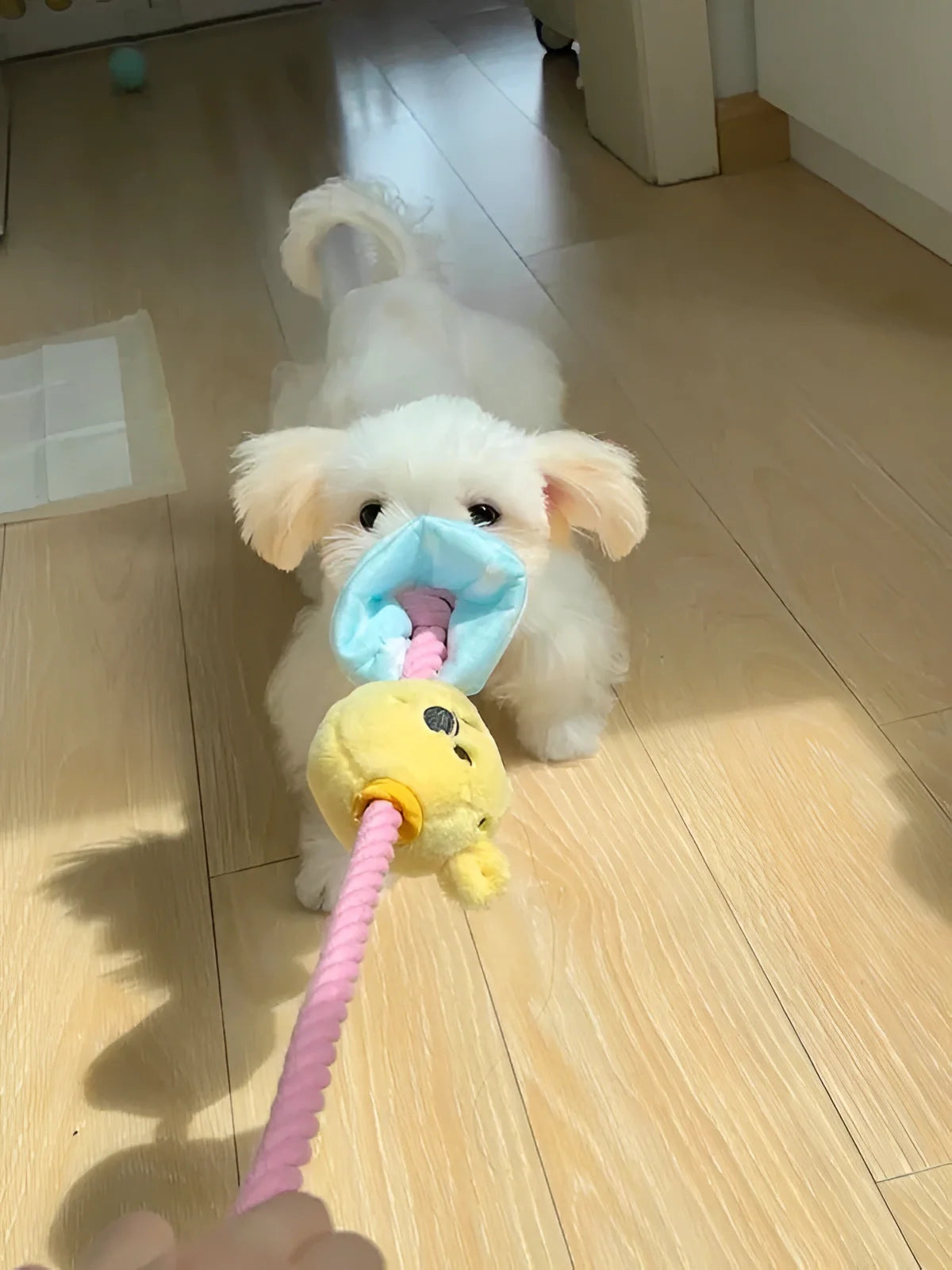 Winnie the Pooh Candy Rope Toy