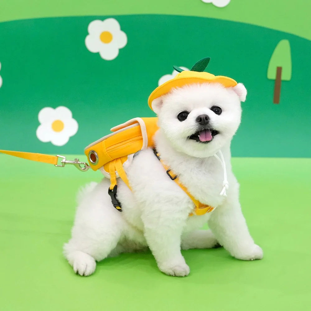 ParisDog Korea Kindergarten Backpack Harness Set for Pets