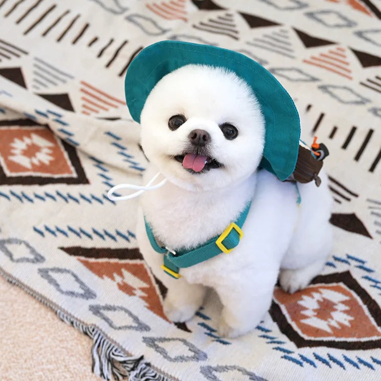 Ensemble harnais et sac à dos Peanuts Korea Adventure 2 en 1 pour chiens