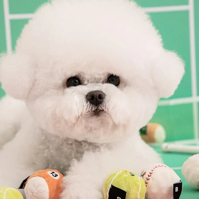 Mini Sports Ball Toy - 3pcs - kikiandpuppies