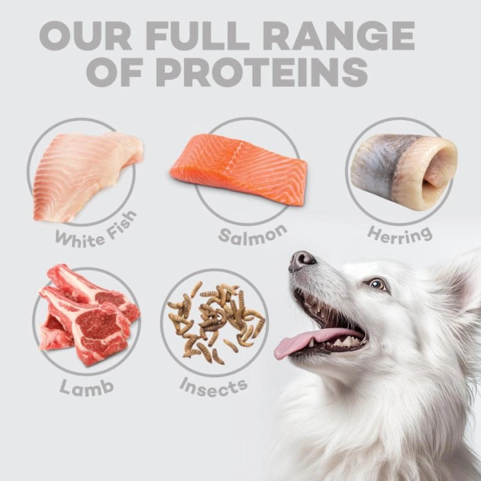 Nature's Protection Superior Care Grain-Free Dry Food White Fish - kikiandpuppies