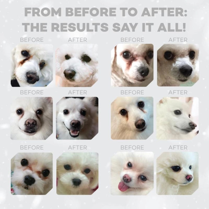 Nature's Protection Superior Care Grain-Free Dry Food White Fish - kikiandpuppies