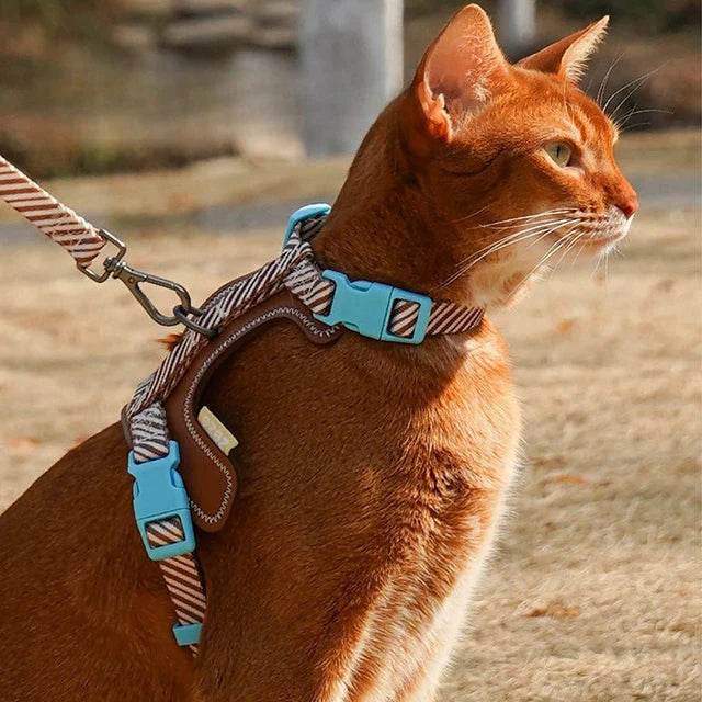 Leather Pet Harness with Leash