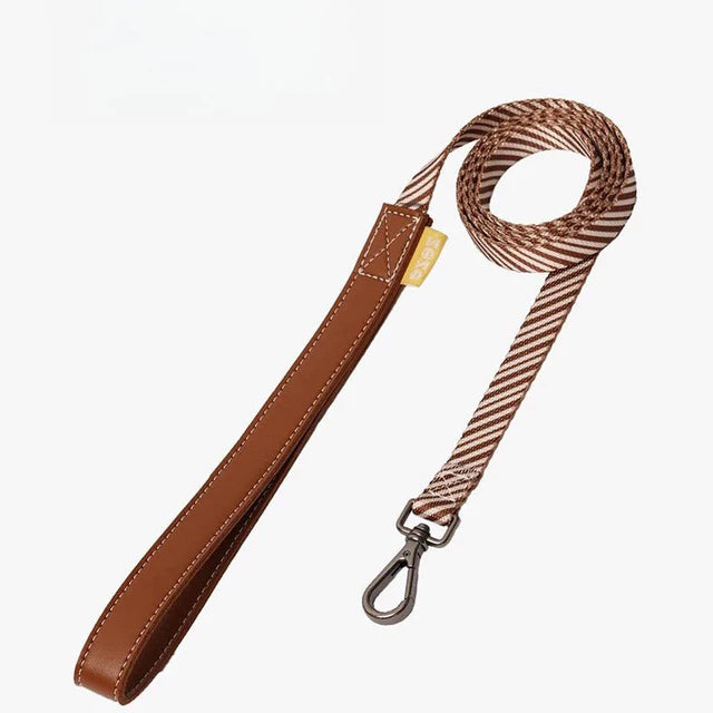 Leather Pet Harness with Leash