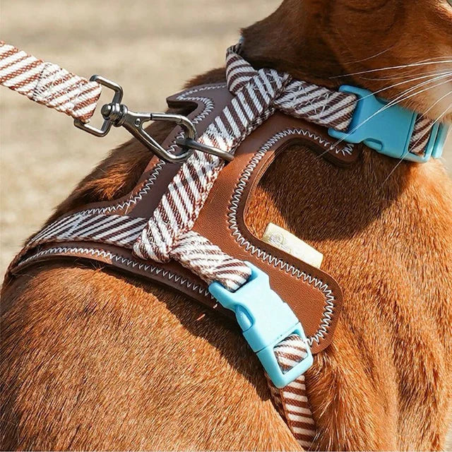 Leather Pet Harness with Leash