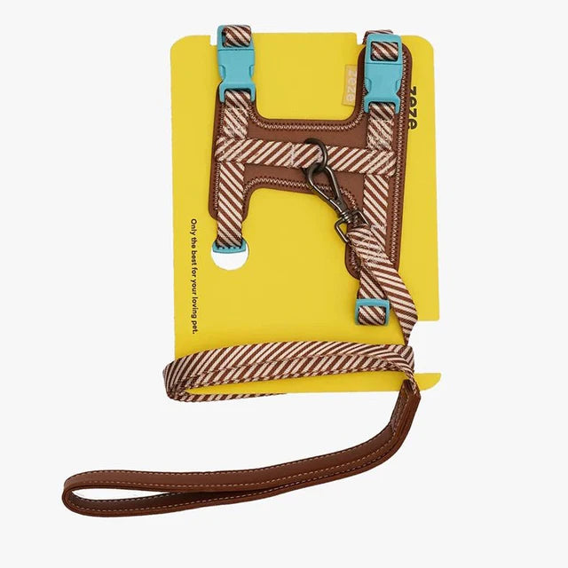 Leather Pet Harness with Leash