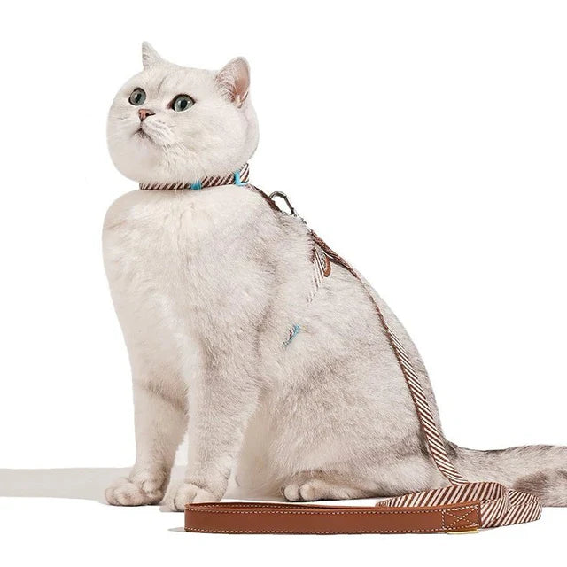 Leather Pet Harness with Leash
