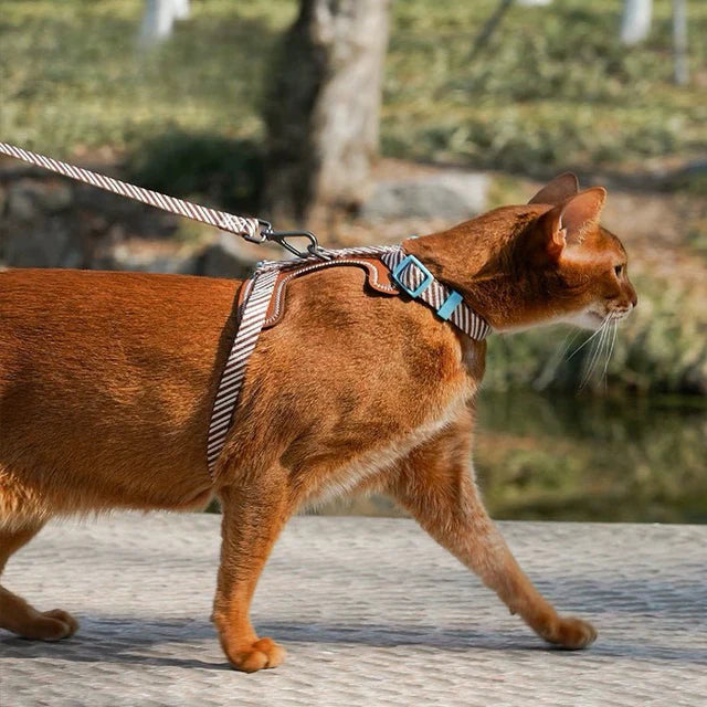 Leather Pet Harness with Leash